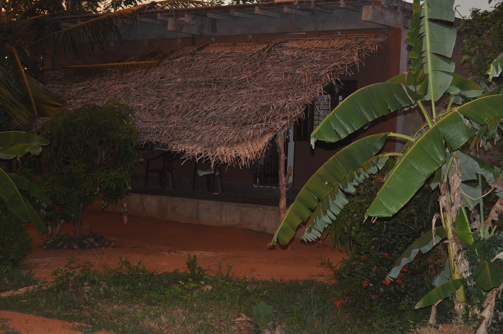دامبولا Wadiya Tourist Guest House المظهر الخارجي الصورة
